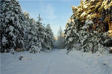 《地平线：黎明时分》PC新补丁上线 加入DLSS和FSR